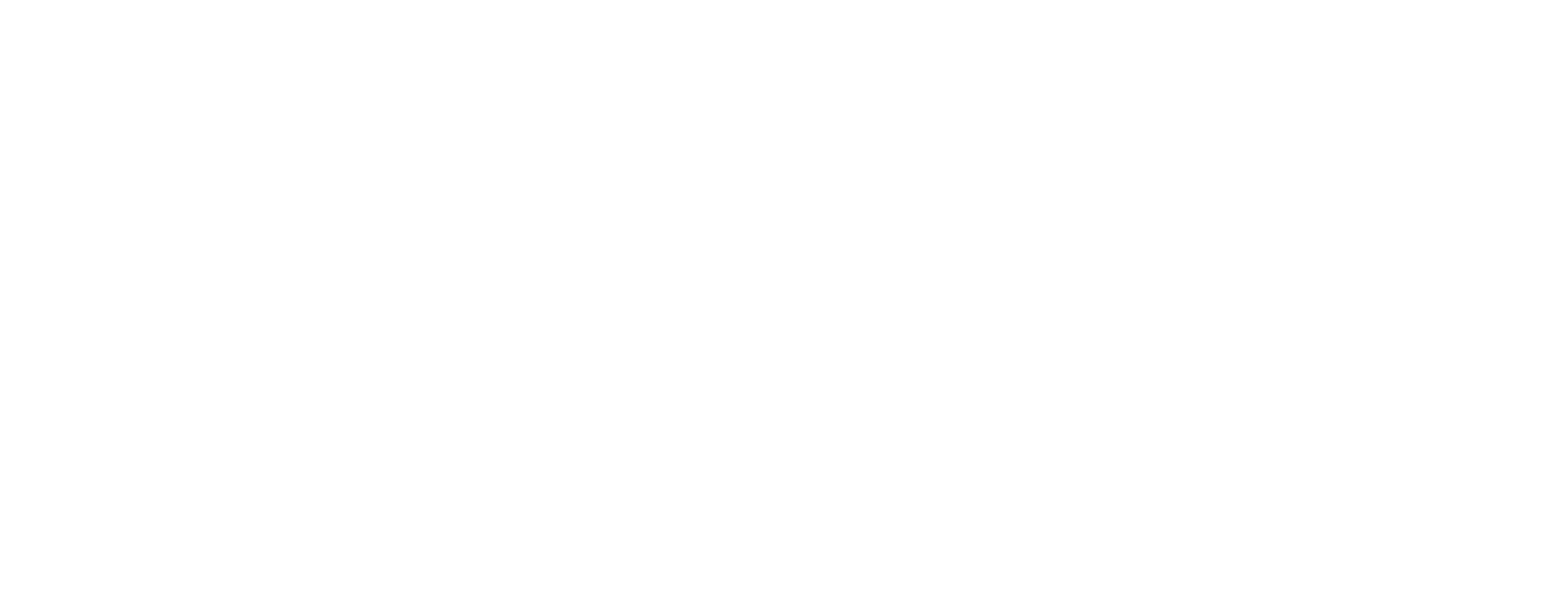 30 Years LEV INS