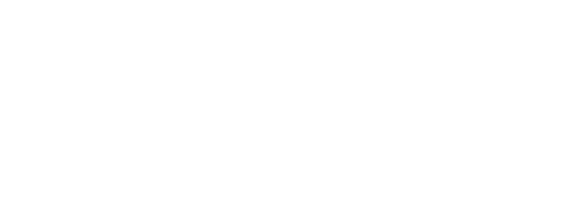 30 години ЛЕВ ИНС